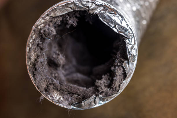 Best HVAC Duct Inspection Services  in Diamond Springs, CA